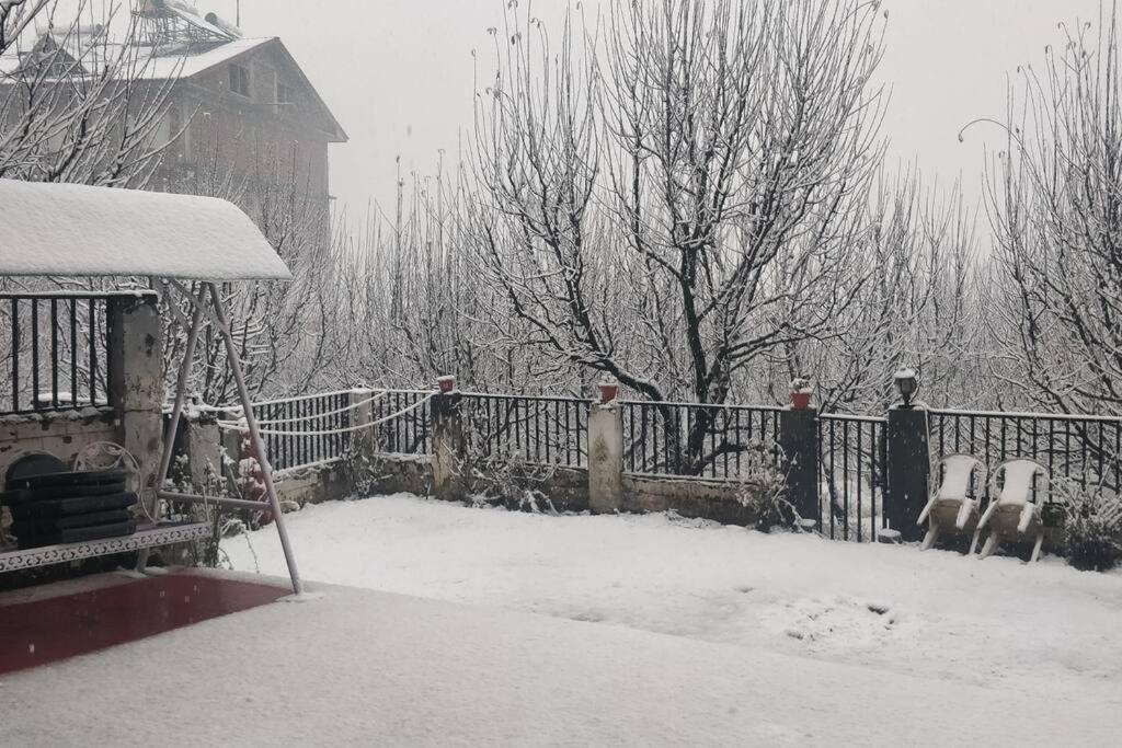 Aroma Taru Villa / Cottage ,Manali מראה חיצוני תמונה