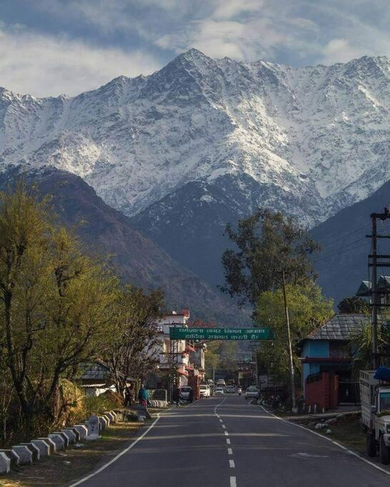 Aroma Taru Villa / Cottage ,Manali מראה חיצוני תמונה
