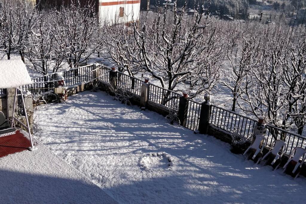 Aroma Taru Villa / Cottage ,Manali מראה חיצוני תמונה