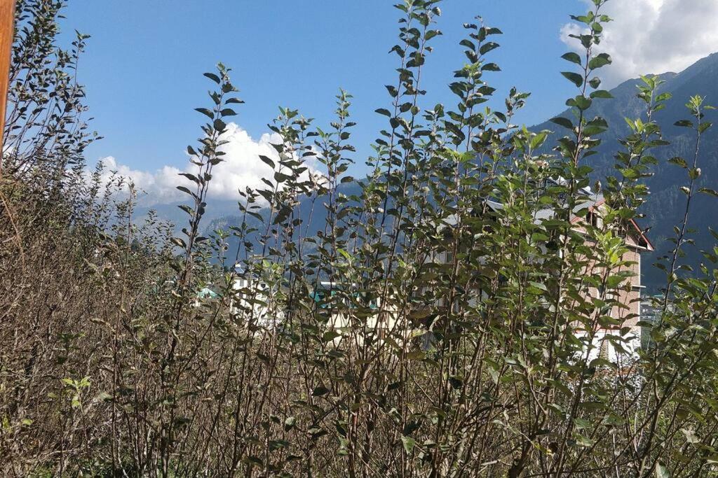 Aroma Taru Villa / Cottage ,Manali מראה חיצוני תמונה