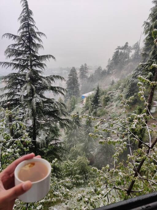 Aroma Taru Villa / Cottage ,Manali מראה חיצוני תמונה
