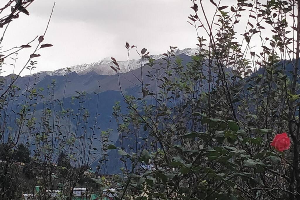 Aroma Taru Villa / Cottage ,Manali מראה חיצוני תמונה
